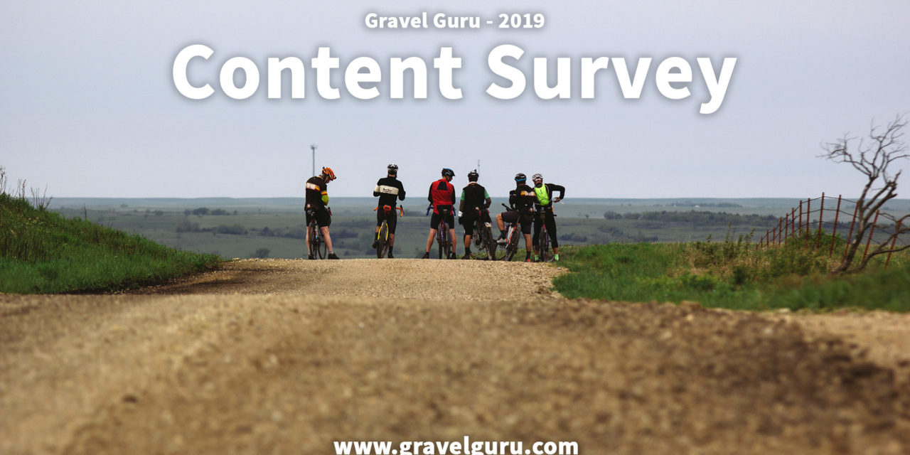 2019 Content Survey